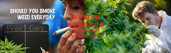 тгк Богданович