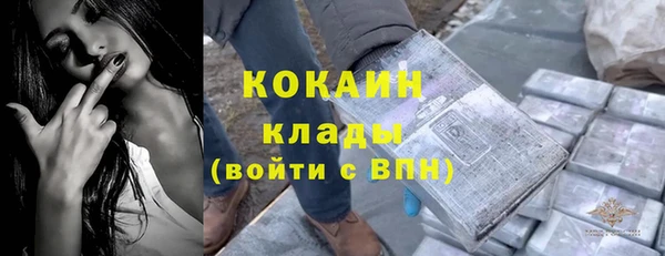 твердый Богородицк