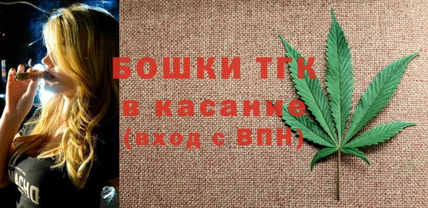 твердый Богородицк