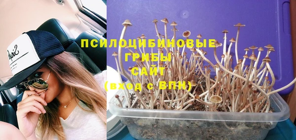 тгк Богданович