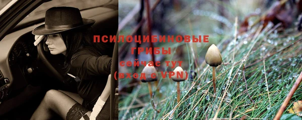 хмурый Богородск