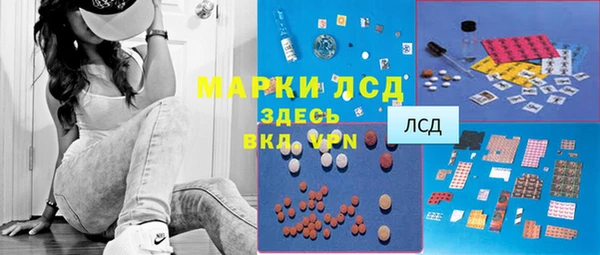 тгк Богданович