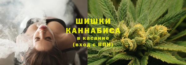 тгк Богданович