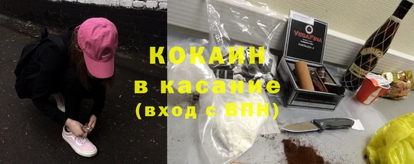 твердый Богородицк