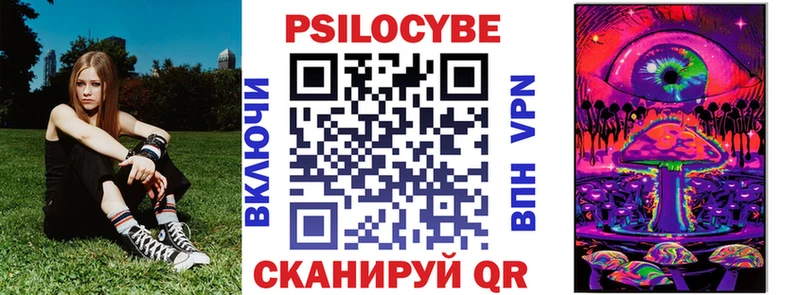 продажа наркотиков  блэк спрут онион  Псилоцибиновые грибы мицелий  Раменское 